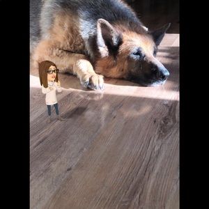 Meet your Posher, Jennifer